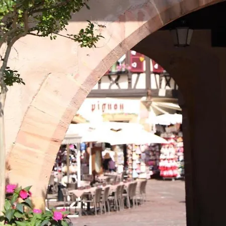 Lumineux A Avec Terrasse, Parking Et Wifi - 5 Min Du Centre - Fr-1-722-1 شقة كولمار