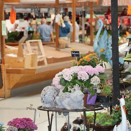 Lumineux à Avec Terrasse, Parking Et Wifi – 5 Min Du Centre - Fr-1-722-1 Apartamento